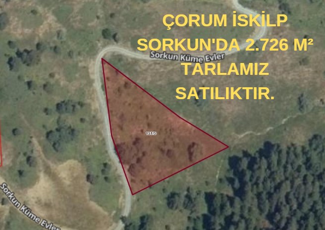 ÇORUM İSKİLP SORKUN'DA 2.726 M² TARLAMIZ SATILIKTIR. - ÇORUM İSKİLİP fotoğraf 7